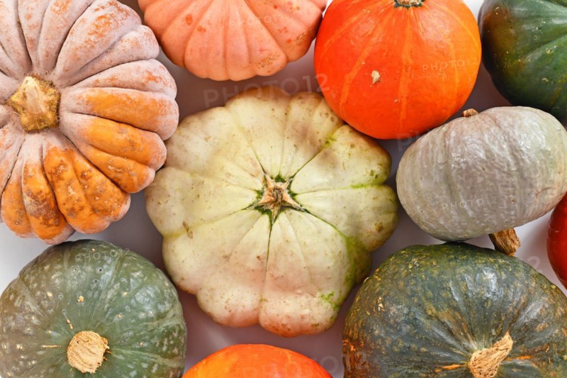 Top view of different pumpkin and squash mix