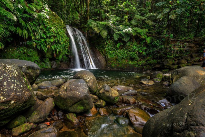 Pure nature, a waterfall with a pool in the forest. The Ecrevisses waterfalls, Cascade aux ecrevisses on Guadeloupe, in the Caribbean. French Antilles, France, Europe