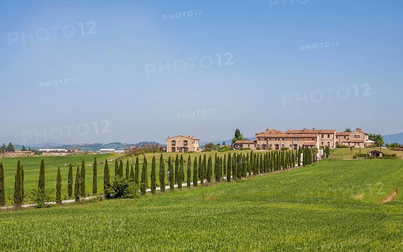 Avenue with cypresses, Borgo Beccanella, near Asciano, Crete Senesi, Tuscany, Italy, Europe
