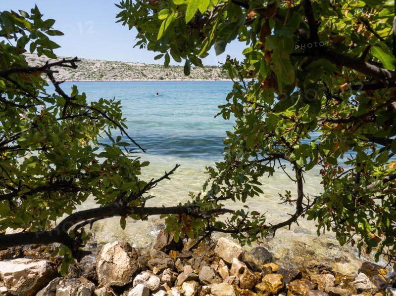 Bathing bay, branches provide shade, island of Rab, Kvarner Gulf Bay, Croatia, Europe