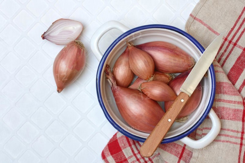 Shallots in peel, Allium cepa