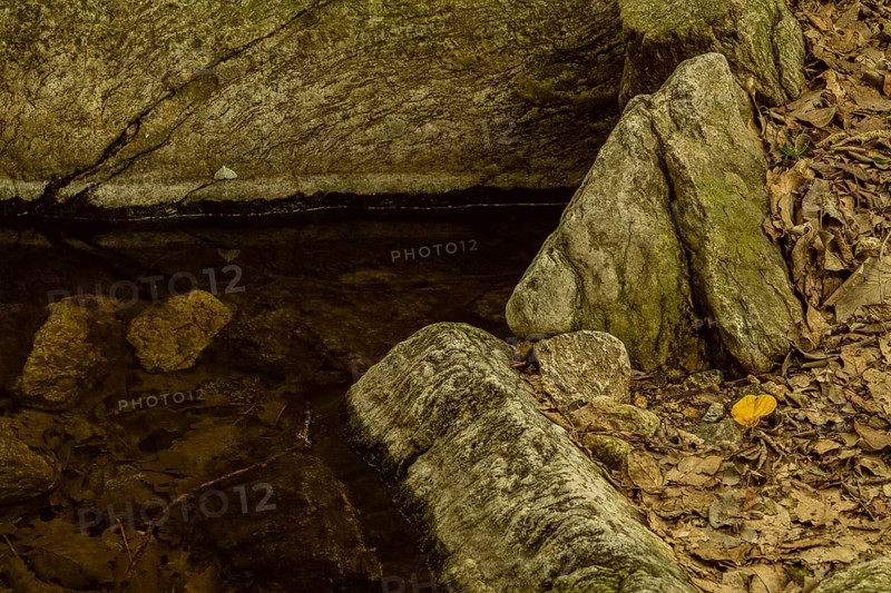Pool of still water surrounded by large boulders and leaves and stone wall in the background in Namhae, South Korea, Asia