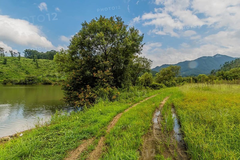 Tire tracks in meadow beside lake with mountains and blue cloudy sky in background in South Korea