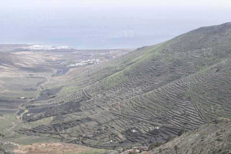Agriculture terraced landscape seen from the Mirador del Guinate, Haria, Lanzarote, Canary Islands, Spain, Europe