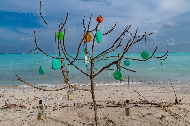 Plastic art on a tree, white sand beach, Tinnakara island, Lakshadweep archipelago, Union territory of India
