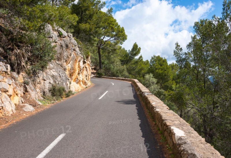 Winding, very narrow mountain road on a steep rocky slope, lined with rocks (limestone) and Mediterranean vegetation, Aleppo pines (Pinus halepensis), holm oaks (Quercus ilex) or holm oak, european fan palm (Chamaerops humilis), Trees, forest, with a view of the blue sky with individual white clouds, sunny pass road Ma-1032 from Capdella to Puigpunyent with a low wall at the roadside in spring, Serra de Tramuntana, Majorca, Spain, Europe