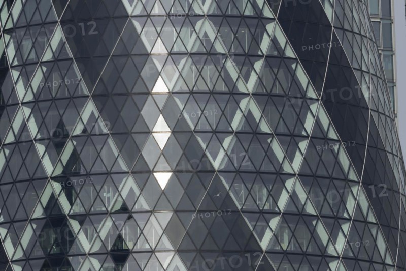 The Gherkin skyscraper building close up of window details with a Herring gull (Larus argentatus) bird flying past, City of London, England, United Kingdom, Europe