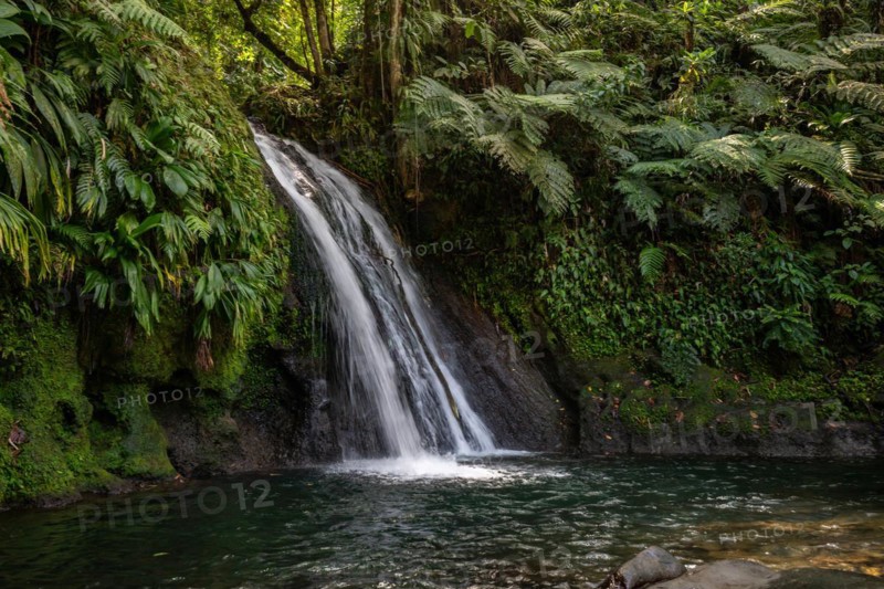 Pure nature, a waterfall with a pool in the forest. The Ecrevisses waterfalls, Cascade aux ecrevisses on Guadeloupe, in the Caribbean. French Antilles, France, Europe