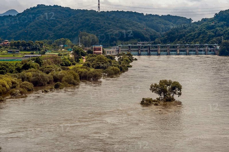 Flooded river near a hydroelectric dam with submerged trees and cloudy skies, in South Korea