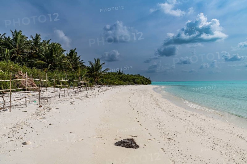 White sand beach, Parli 1 island, Lakshadweep archipelago, Union territory of India