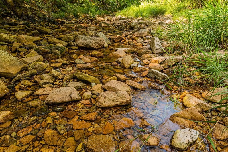 A shallow streambed with clear water running over multicolored rocks and lush greenery on the sides, in South Korea