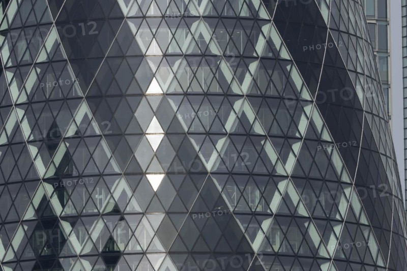 The Gherkin skyscraper building close up of window details with a Herring gull (Larus argentatus) bird flying past, City of London, England, United Kingdom, Europe