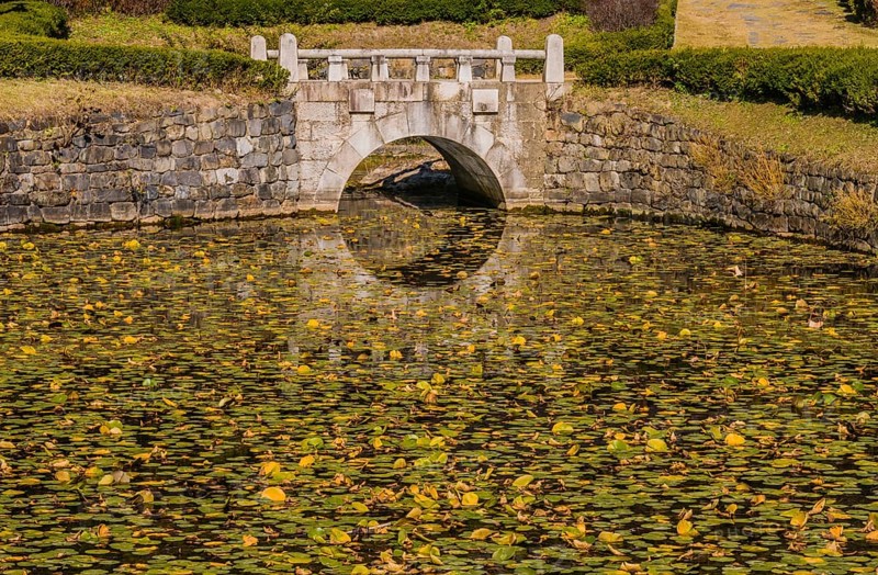 Tranquil pond filled with lily pads and a reflection of an arched stone bridge, in South Korea