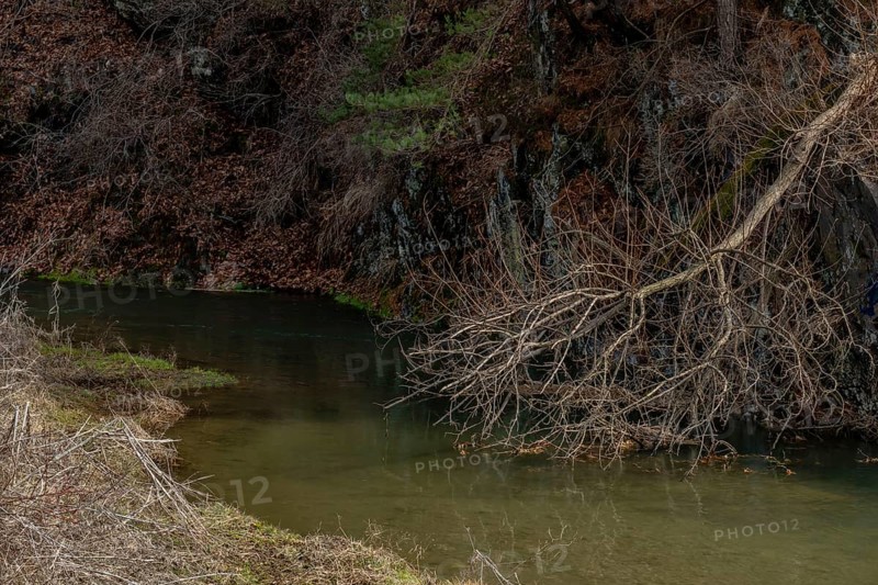 A tranquil creek bordered by dry overhanging branches and earthy tones, in South Korea