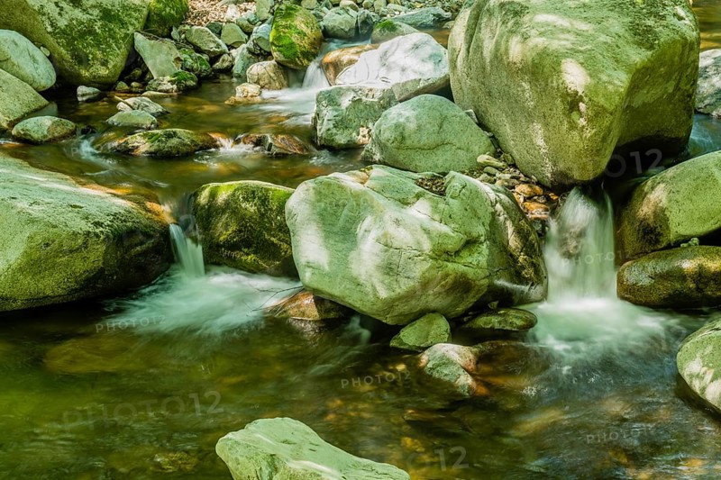 A clear stream flows over moss-covered boulders in a sunlit forest, in South Korea