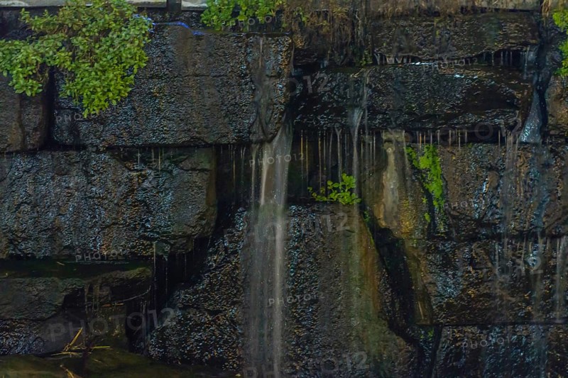 Close-up of water trickling down a mossy stone wall creating a serene atmosphere, in South Korea