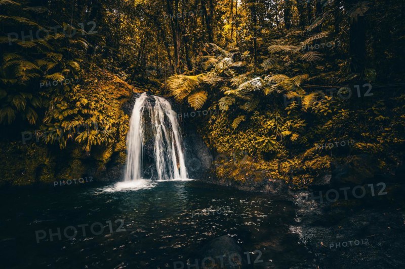 Pure nature, a waterfall with a pool in the forest. The Ecrevisses waterfalls, Cascade aux ecrevisses on Guadeloupe, in the Caribbean. French Antilles, France, Europe
