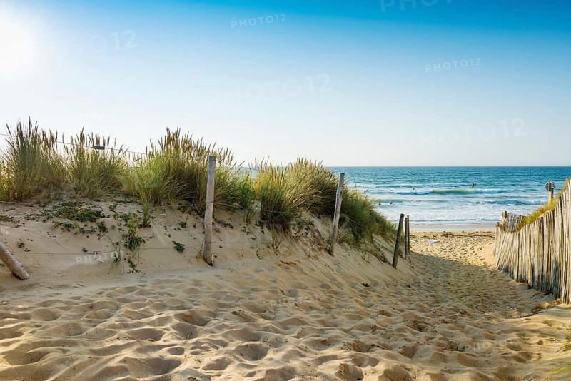 Path through the dunes to the beach, Quiberon peninsula, Brittany, France, Europe