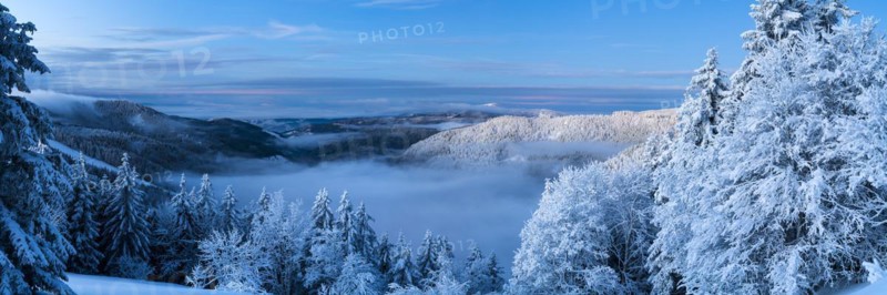 Winter on the Feldberg in front of sunrise, Breisgau-Hochschwarzwald district, Baden-Wuerttemberg, Germany, Europe