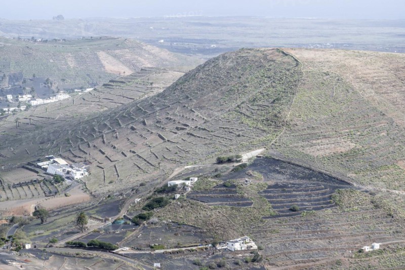 Agriculture terraced landscape seen from the Mirador del Guinate, Haria, Lanzarote, Canary Islands, Spain, Europe