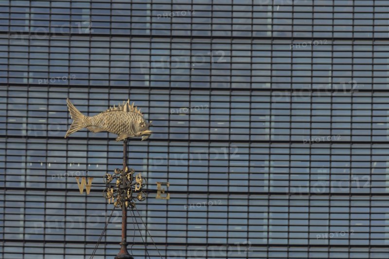 Fish weather vain in front of a high rise office skyscaper building, City of London, England, United Kingdom, Europe