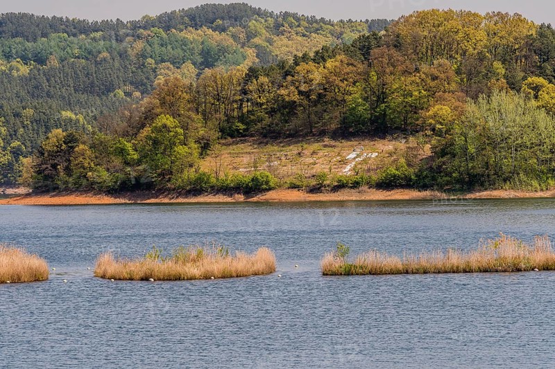 Landscape of lake with three small islands in the middle of lake and shoreline with a small clearing surrounded by evergreen trees in South Korea
