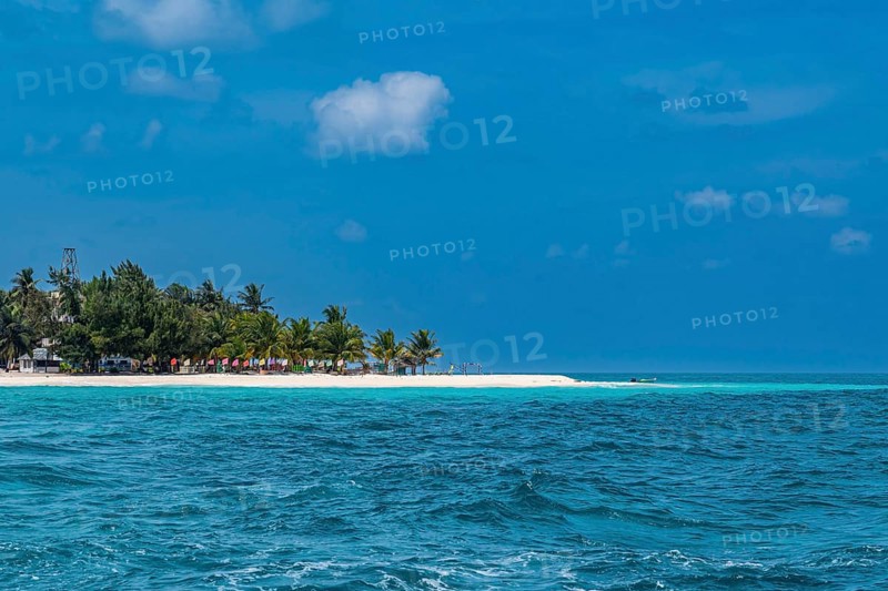 Palm fringed white sand beach, Agatti Island, Lakshadweep archipelago, Union territory of India