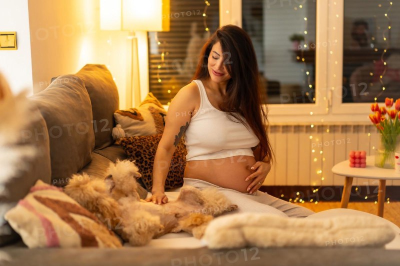 Pregnant happy woman caressing a dog sitting comfortable at home on the sofa at night