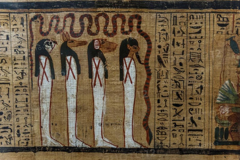 Hieroglyphs on papyrus, message, drawing, Egyptian, kingdom, antiquity, world history, history, tradition, culture, cultural history, stone, sign, language, colourful, queen, sculpture, tomb, Cairo, Egypt, Africa
