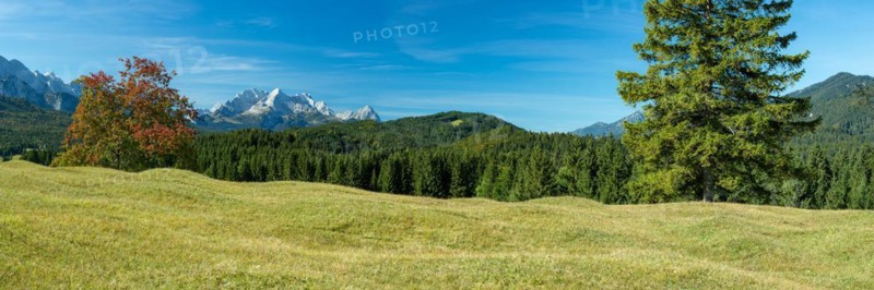 Humpback meadows between Mittenwald and Kruen, Werdenfelser Land, behind it the Zugspitze, 2962m, Wetterstein Mountains, Upper Bavaria, Bavaria