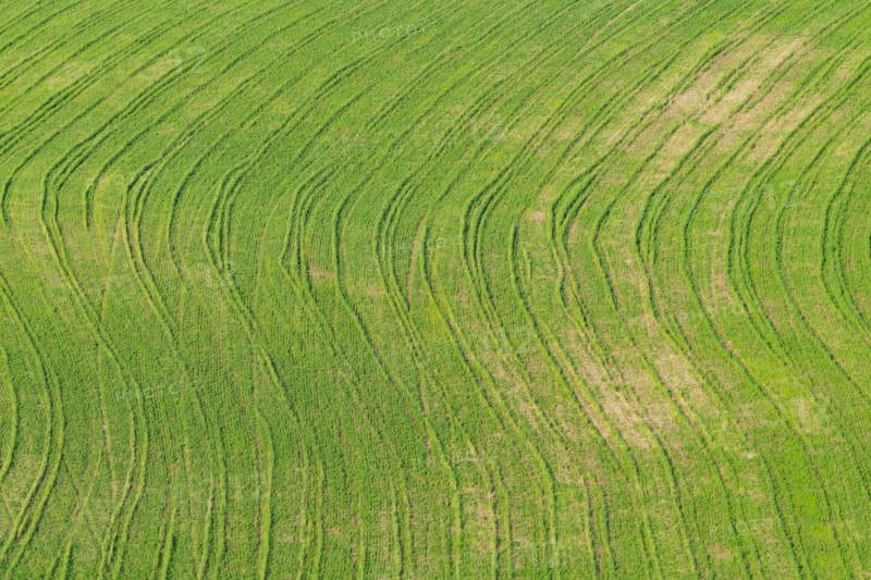 Traces on a cultivated area, Crete Senesi, Province of Siena, Tuscany, Italy, Europe