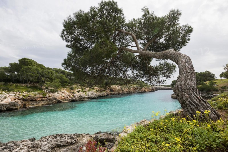 Cala Mitjana, Cala d'Or, Majorca, Balearic Islands, Spain, Europe