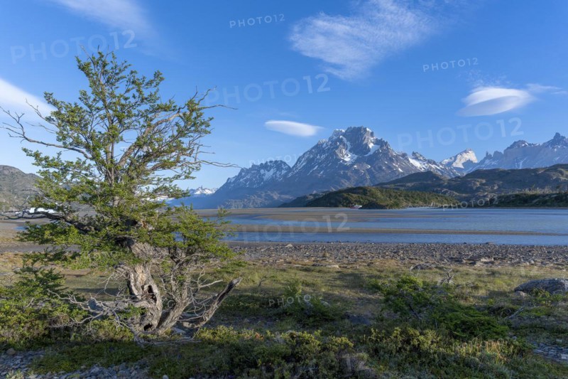 Shores of Lago Grey, Torres del Paine National Park, Parque Nacional Torres del Paine, Cordillera del Paine, Towers of the Blue Sky, Region de Magallanes y de la Antartica Chilena, Ultima Esperanza Province, UNESCO Biosphere Reserve, Patagonia, End of the World, Chile, South America