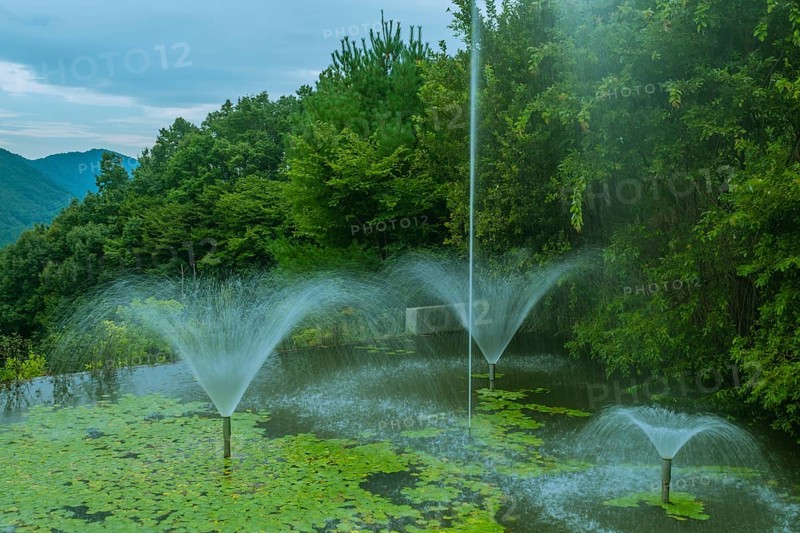 Serene pond with multiple fountains among greenery and water lilies, in South Korea