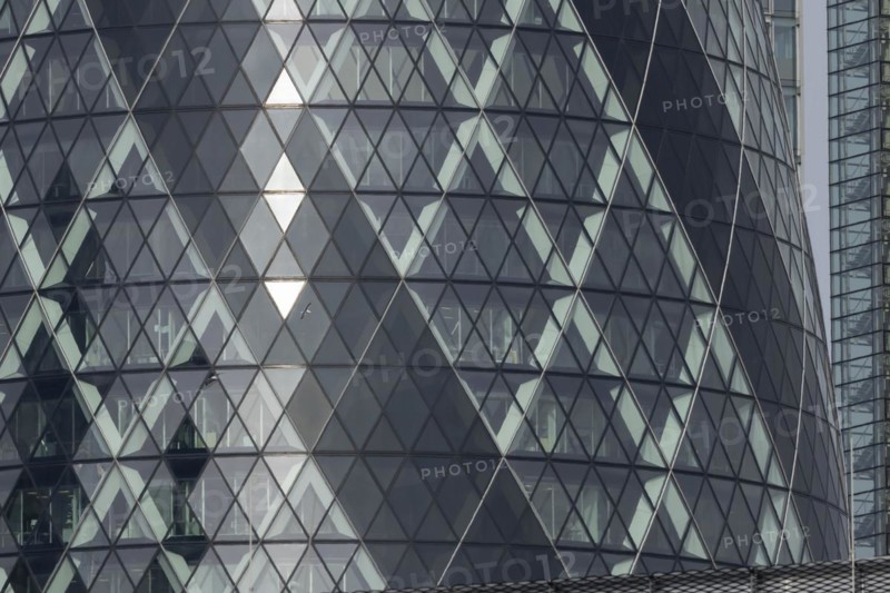 The Gherkin skyscraper building close up of window details with two Herring gull (Larus argentatus) birds flying past, City of London, England, United Kingdom, Europe