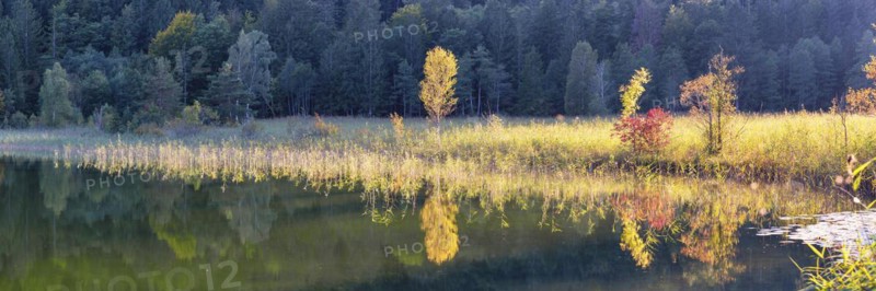 Autumn at Schwansee, near Hohenschwangau, Romantic Road, Ostallgaeu, Bavaria, Germany, Europe