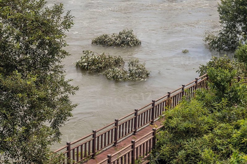 Flooded riverbank with submerged trees behind a wooden railing, in South Korea
