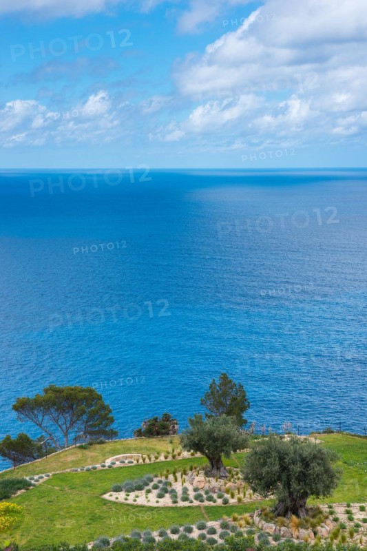 Peaceful sea view with terraced garden, green grass areas, rocky beds and trees in spring, rock garden with grasses, lavender (Lavandula), oleander (Nerium oleander), also rose laurel, calm, wide, blue sea, distant horizon in spring, spring, Mediterranean, Mediterranean on the north-west coast, Majorca, Spain, Europe