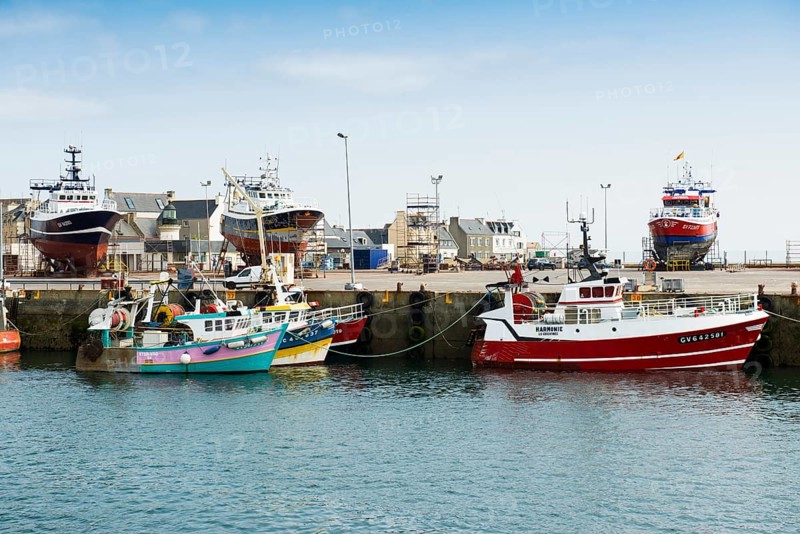 Colourful fishing boats in the harbour, Guilvinec, Finistere, Brittany, France, Europe