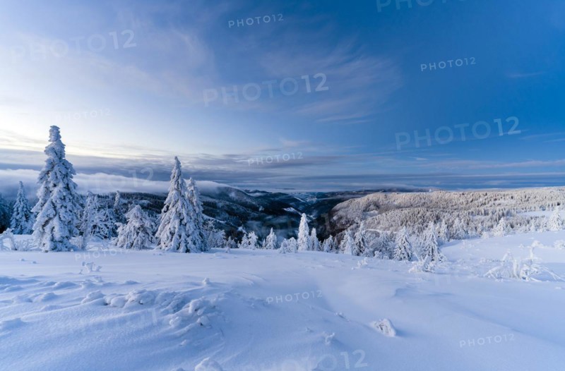 Winter on the Feldberg in front of sunrise, Breisgau-Hochschwarzwald district, Baden-Wuerttemberg, Germany, Europe