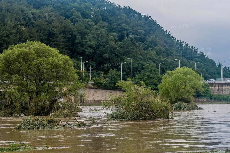 Trees submerged by floodwaters near riverbanks in a natural landscape, in South Korea