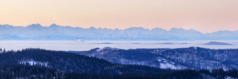 View from the Feldberg over the Herzogenhorn to the Swiss Alps, in front of sunrise, Breisgau-Hochschwarzwald district, Baden-Wuerttemberg, Germany, Europe