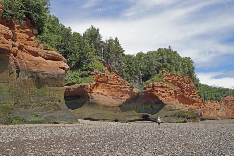 Wooded cliffs, red sandstone, Five Islands Provincial Park, Fundy Bay, Nova Scotia, Canada, North America