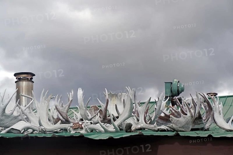 Antlers lying on a roof, hunting, Yukon Discvery Lodge, Alaska Highway, Yukon, Canada, North America