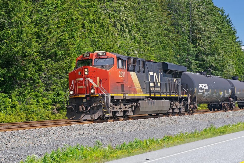Locomotive and some wagons of the CN Railway, Yellowhead Highway, British Columbia, Canada, North America