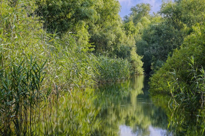 Waterway at Lacul Isac in the UNESCO Danube Delta Biosphere Reserve. Munghiol, Tulcea, Romania, Europe