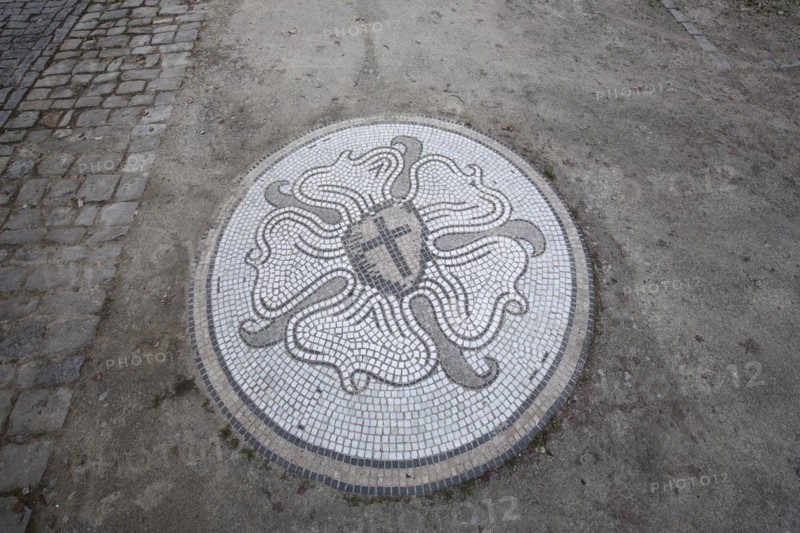 Luther rose as a floor mosaic as a symbol of the Evangelical Lutheran Church, round, monochrome, grey, Doktor-Martin-Luther-Platz, Bad Windsheim, Middle Franconia, Franconia, Bavaria, Germany, Europe