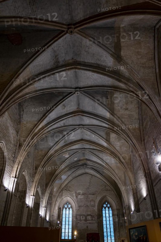 Inside the Cathedral in Palace of the Popes in Avignon, France, Europe
