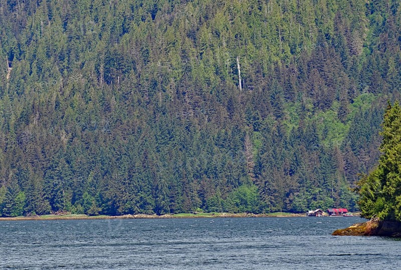 Elongated fjord with wooded shores and slopes, two small houses on the shore, Khutzeymateen Grizzly Bear, Wilderness, British Columbia, Canada, North America