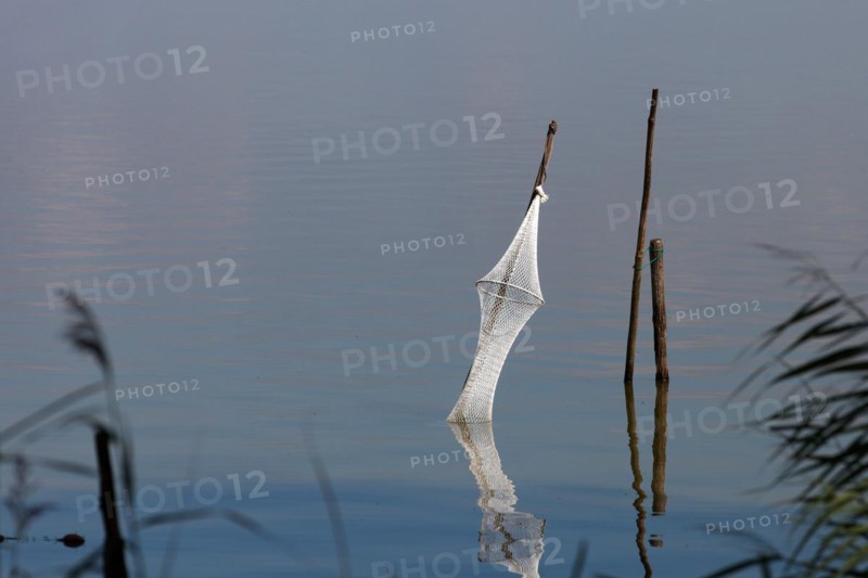 Fish trap, Steinhuder Meer, Steinhude, Lower Saxony, Germany, Europe